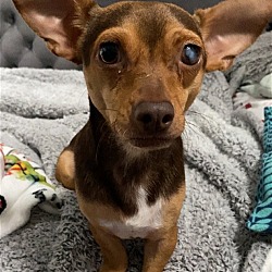 Photo of Tito