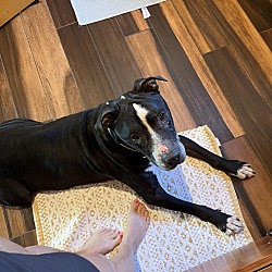 Photo of Big Lebowski