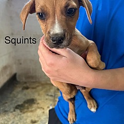 Thumbnail photo of Squints🐾 #2