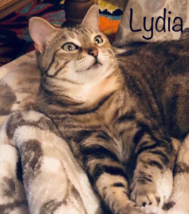 Thumbnail photo of Lydia #2