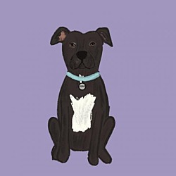 Photo of Zora