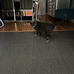 Photo of Blue