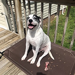 Photo of Goober