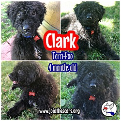 Photo of Clark