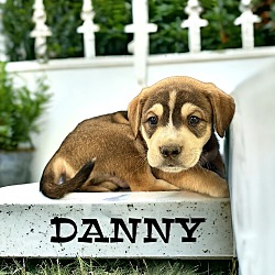 Photo of Danny