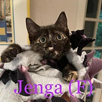 Photo of Jenga
