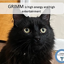Photo of Grimm