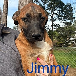 Thumbnail photo of Jimmy #2