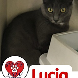 Photo of Lucia