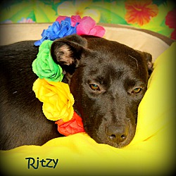 Thumbnail photo of Ritzy ~ meet me! #3