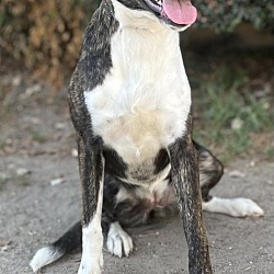 Photo of Lydia
