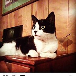Photo of Mia