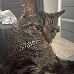 Photo of Jessie