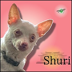 Photo of Shuri