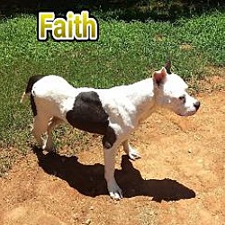 Thumbnail photo of Faith #1