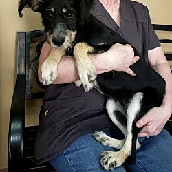 Photo of Lucy Goosey ~ meet me!