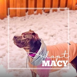 Thumbnail photo of Macy #3