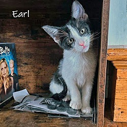 Thumbnail photo of Earl #3