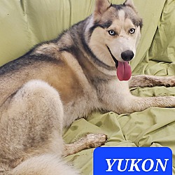 Photo of YUKON