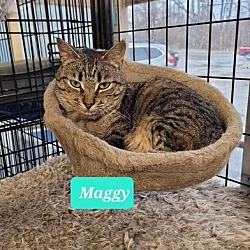 Photo of Maggy