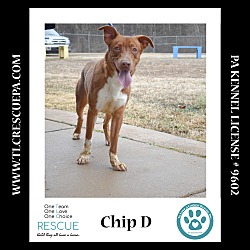 Thumbnail photo of Chip D 081724 #2