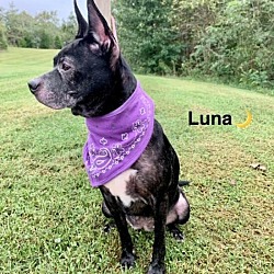 Thumbnail photo of Luna #1