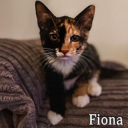 Photo of Fiona