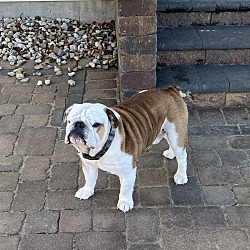 Photo of Rocky