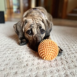 Photo of Daisy