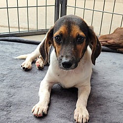 Photo of Lilly