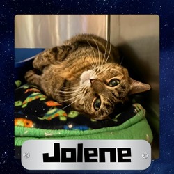 Photo of Jolene
