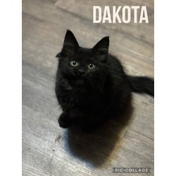 Photo of Dakota