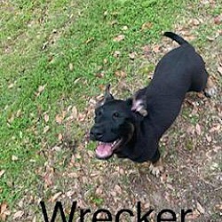 Photo of Wrecker