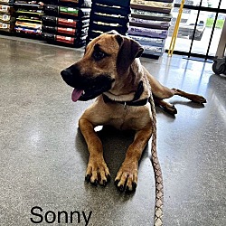 Thumbnail photo of Sonny #1