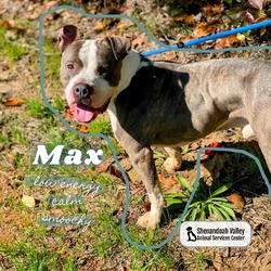 Thumbnail photo of Max #1