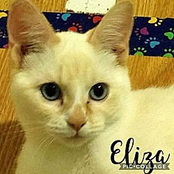 Thumbnail photo of Eliza #1