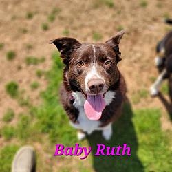 Photo of Baby Ruth