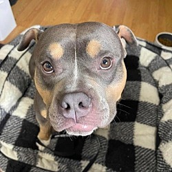 Photo of Bubba