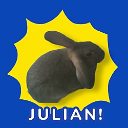 Thumbnail photo of Julian Bashir #2