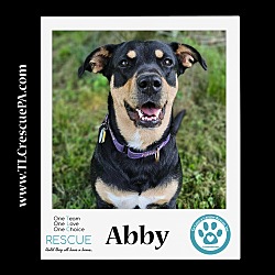 Thumbnail photo of Abby 110423 #3