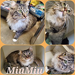 Photo of MiuMiu