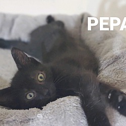 Photo of Pepa