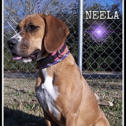 Thumbnail photo of Neela #3
