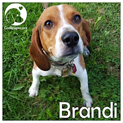 Thumbnail photo of Brandi #1