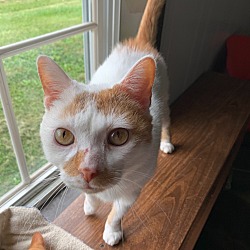 Thumbnail photo of Olaf #3