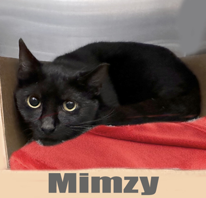Thumbnail photo of Mimzy #1