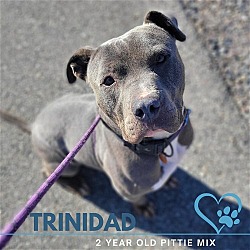 Thumbnail photo of Trinidad #2