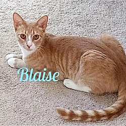 Photo of Blaise/mb
