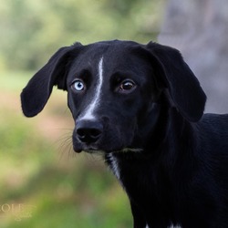 Photo of Daisy
