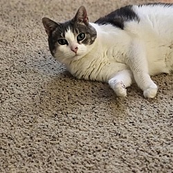 Photo of Xena